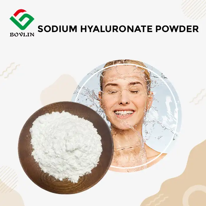 Sodium Hyaluronate Powder Sodium Hyaluronate Powder